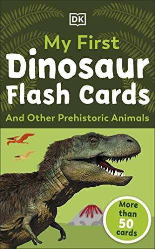 My First Dinosaur Flash Cards von DK